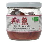 Pasta Umeboshi Celnat 250g