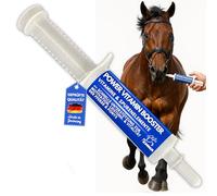 Pasta vitamínica para Caballos I Potenciador de energía Vitaminas B I Complejo vitamínico B12 Lisina Zinc I Minerales I Fortalece el Sistema inmunológico I Vitamina E Oligoelementos Oldie Mares 1pc.