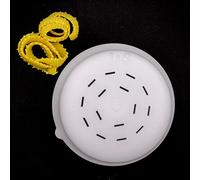 PASTADISC - Discos en forma de pasta aptos para fabricante automático de pasta y fideos Philips, accesorios para hacer pasta Philips, electrodomésticos de cocina, kit de accesorios (Fettuccina 6x1mm)