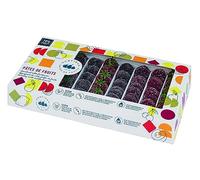 Pastas de frutas de 1 Kg, sabores de frutas rojas (Fresa, Frambuesa, Cereza, Grosella Negra), sin gluten, sin conservantes, sin colorantes y sin sabores artificiales.