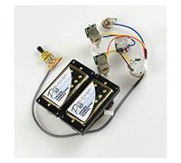 Pastillas para Guitarra Pastillas Humbucker De Guitarra Eléctrica Con Arnés De Cableado De Conexión Rápida Y Juego De Cubierta Dorada (Color : 02)