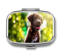 Pastillero A De Humedad Campana Para Perro De Animal Pastillero 2 Compartimentos Con Espejo Caja De Almacenamiento Dispensador De Metal Cuadrado Portátil Regalo Único