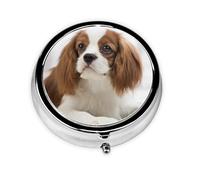 Pastillero Cavalier King Charles Spaniel Brown Spaniel Meta, estuche para medicamentos con 3 compartimentos, organizador portátil