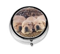Pastillero con 3 compartimentos, organizador portátil, para cachorros de labrador y golden retriever.