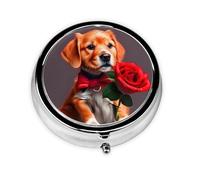 Pastillero con 3 compartimentos para perros de caballero, una caja de medicamentos portátil que contiene vitaminas, medicamentos, aceite de pescado y suplementos.