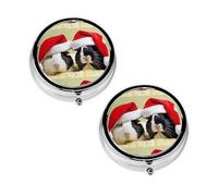 Pastillero con estampado de conejillos de indias con 3 compartimentos, portátil para bolsillo o bolso, organizador de píldoras decorativo de metal, organizador de vitaminas, regalo único