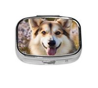 Pastillero cuadrado para perro, mini pastillero de metal para bolso, pequeño y lindo organizador de píldoras de medicina de 2 compartimentos, soporte portátil para medicinas diarias y vitaminas