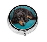 Pastillero Dachshund azul verde personalizado viaje pastillero redondo pastillero decorativo Metal medicina vitamina caja organizadora