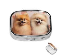 Pastillero de 2 compartimentos, mini pastillero de medicina de Pomerania, cachorros, pastillero para bolso, bolsillo impermeable, contenedor de píldoras de metal decorativo, organizador de píldoras de