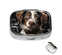 Pastillero de 2 compartimentos, mini pastillero de medicina para perro, pastillero para bolsillo, impermeable, contenedor de píldoras de metal decorativo, organizador de pastillas para viajes o uso