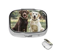 Pastillero de 2 compartimentos, mini pastillero de medicina para perros labrador retriever, pastillero para bolso, bolsillo impermeable, contenedor de píldoras de metal decorativo, organizador de