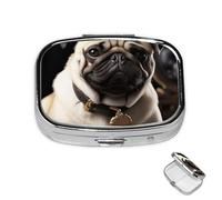 Pastillero de 2 compartimentos, mini pastillero para medicina, para perro, para bolso, impermeable, de metal, organizador de píldoras decorativo para viajes o uso diario