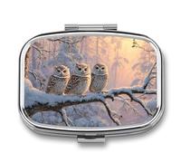 Pastillero de invierno con diseño de tres búhos en rama de árbol cubierto de nieve, pastillero portátil con 2 compartimentos, organizador de pastillas de viaje para bolso de bolsillo