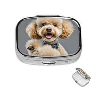 Pastillero de metal con 2 compartimentos, organizador de píldoras para medicina, divertido perro carlino para bolso o bolsillo, bonito soporte portátil para pastillas de viaje para guardar suplementos