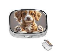 Pastillero de metal con 2 compartimentos, organizador de píldoras para medicina, lindo pastillero de pata de perro para bolso o bolsillo, bonito soporte portátil para pastillas de viaje para guardar