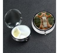 Pastillero de metal con 3 compartimentos, organizador de píldoras medicinales de ardilla, divertido pastillero de animales para bolso o bolsillo, mini soporte portátil para pastillas de viaje para