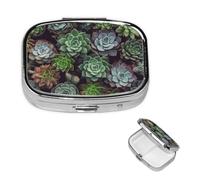 Pastillero de plantas suculentas con espejo, 2 compartimentos, decorativo, para bolso o bolsillo, organizador de píldoras cuadrado pequeño, organizador semanal de metal, medicina, tableta, soporte