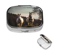 Pastillero de viaje con 2 compartimentos, pequeño pastillero para bolso y bolsillo, organizador portátil de medicamentos, caballo en la montaña, bonito recipiente redondo para vitaminas, medicamentos