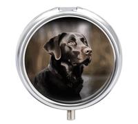 Pastillero de viaje pequeño organizador de pastilleros, con estampado de labrador retriever, redondo, bonito pastillero de metal, 3 compartimentos, portátil, diario, para bolso y bolsillo
