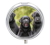 Pastillero Labrador Retriever's Puppies Lindo Pastillero Diario Pastillero Organizador 2 Compartimentos