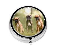 Pastillero Meta con 3 compartimentos, organizador portátil para perros, cachorros, bóxer, mascotas y perros de familia.