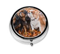 Pastillero Meta con 3 compartimentos para cachorros de Cavalier King Charles Spaniel Autumn, organizador portátil