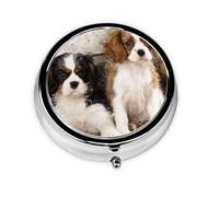 Pastillero Meta con 3 compartimentos para cachorros pequeños de Cavalier King Charles Spaniel, organizador portátil