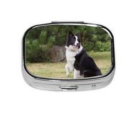 Pastillero, pastillero organizador de medicinas, pastillero de viaje, organizador de pastillas, soporte para pastillas,Border Collie perro malo