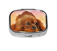 Pastillero, pastillero organizador de medicinas, pastillero de viaje, organizador de pastillas, soporte para pastillas,Cavalier King Charles Spaniel