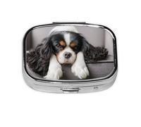 Pastillero, pastillero organizador de medicinas, pastillero de viaje, organizador de pastillas, soporte para pastillas,Perro Cavalier King Charles Spaniel