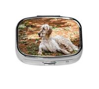 Pastillero, pastillero organizador de medicinas, pastillero de viaje, organizador de pastillas, soporte para pastillas,Setter Inglés Otoño Mascotas Perros Del Bosque Inglés