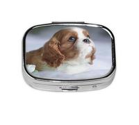 Pastillero, pastillero organizador de medicinas, pastillero de viaje, organizador de pastillas, soporte para pastillas,Cara Cavalier King Charles Spaniel