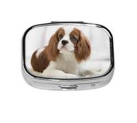 Pastillero, pastillero organizador de medicinas, pastillero de viaje, organizador de pastillas, soporte para pastillas,Cavalier King Charles Spaniel Spaniel Marrón