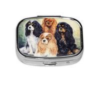 Pastillero, pastillero organizador de medicinas, pastillero de viaje, organizador de pastillas, soporte para pastillas,Negro Dorado Cavalier King Charles Spaniel