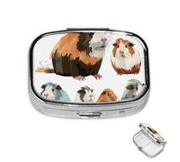 Pastillero pequeño organizador de medicamentos con 2 compartimentos, ilustración de conejillo de indias, pastillero para bolsillo o bolso, mini pastillero de metal, contenedor portátil de viaje para