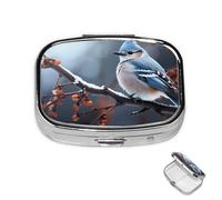 Pastillero pequeño organizador de medicamentos con 2 compartimentos, pájaro en rama en invierno, pastillero para bolsillo o bolso, mini pastillero de metal, contenedor portátil de viaje para guardar