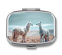 Pastillero portátil con 2 compartimentos de alpaca en la hierba, pastillero portátil con espejo para bolso de bolsillo, viaje, mini organizador de medicamentos de metal para vitaminas y aceite de