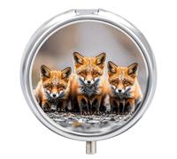 Pastillero portátil con espejo, muchos zorros impresos, 3 compartimentos, organizador de píldoras pequeño, ligero, pastillero de viaje para mujeres y hombres, regalos creativos