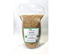 Pasto de Sudan 5kg de grano. Herbaceo forrajero de alto tamaño y cremiento rapido y vigoroso