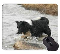 Pastor alemán Amante Divertido del Perro Alfombrillas de ratón, Alfombrilla de ratón de Vector con Bordes cosidos