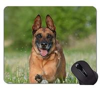 Pastor alemán amante divertido del perro alfombrillas de ratón, Malinois alfombrillas de ratón