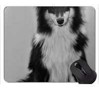 Pastor alemán Amante Divertido del Perro Alfombrillas de ratón, Oficina del Perro Alfombrilla de ratón