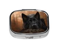 Pastor Alemán Negro Bokeh Otoño Alemán, Pastillero cuadrado para bolsillo o monedero, pequeño contenedor de pastillas, organizador de pastillas de viaje