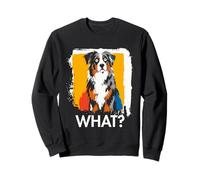 Pastor Americano en Miniatura ¿Qué? Meme de Perro Divertido Diciendo Perro Sudadera