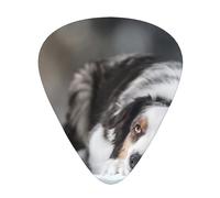 Pastor australiano de invierno blanco como la nieve, perros grises,12 púas de guitarra, 3 grosores diferentes para guitarra acústica, bajo y ukelele