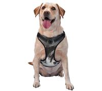 Pastor Australiano de Invierno Blanco como la Nieve, Perros Grises,Arnés para Mascotas, arnés Reflectante Ajustable para Perros,M