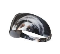 Pastor Australiano de Invierno Blanco como la Nieve, Perros Grises,Banda Deportiva para el Sudor Unisex, Multiusos, elástica para el Pelo