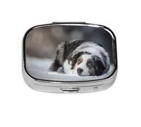 Pastor australiano invierno blanco nieve gris perros, pastillero meta 2 compartimentos, organizador portátil