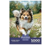 Pastor Australiano Rompecabezas Adultos 1000 Piezas Perro Puzzle Colorido, Exclusivo De Amazon, Papel Ecológico, para Y Jóvenes 70x50cm/1000pcs