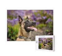 Pastor Belga Malinois Mascotas Perros Pastor Belga Malinois,Rompecabezas de Madera de 300 Piezas, Juego Familiar, Rompecabezas para Adultos, Adolescentes, decoración del hogar